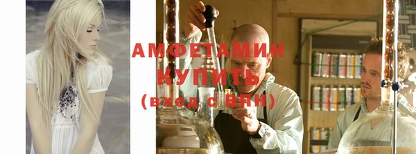 ПСИЛОЦИБИНОВЫЕ ГРИБЫ Богданович