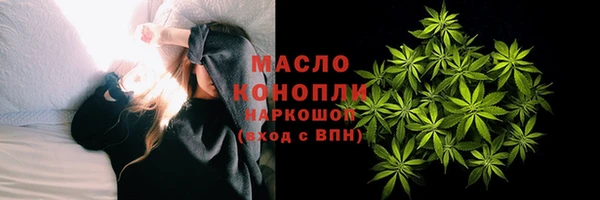 прущие грибы Няндома