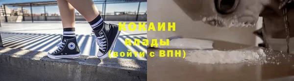 дмт Арсеньев