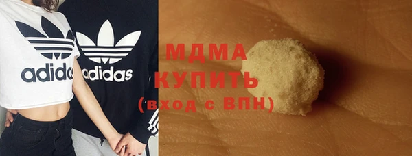 ПСИЛОЦИБИНОВЫЕ ГРИБЫ Богданович