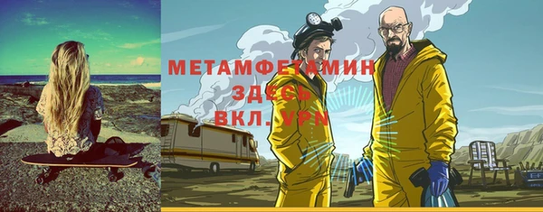 ПСИЛОЦИБИНОВЫЕ ГРИБЫ Богданович