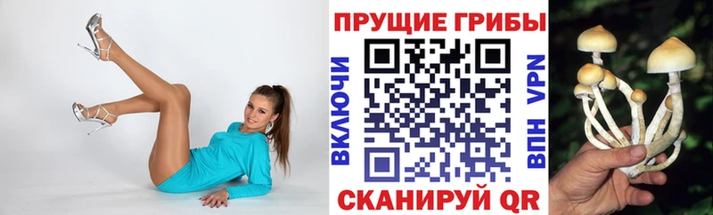 площадка состав Мурманск Псилоцибиновые грибы GOLDEN TEACHER