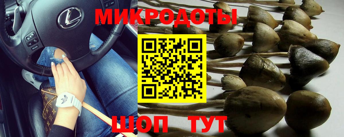Мурманск  Псилоцибиновые грибы MAGIC MUSHROOMS  Вход с VPN 